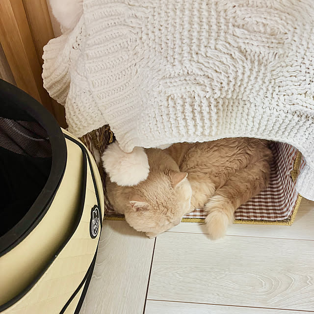 naokoさんの部屋