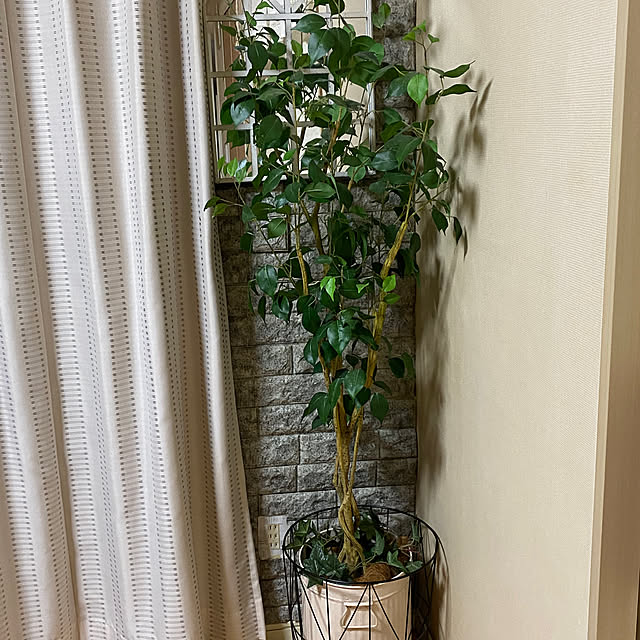 YuuKoさんの実例写真