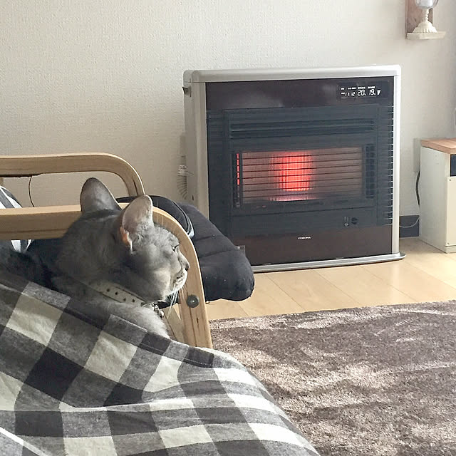 kotoriさんの実例写真