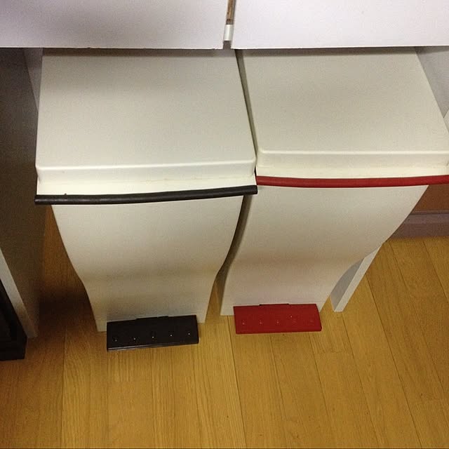 konekoginjiさんの実例写真