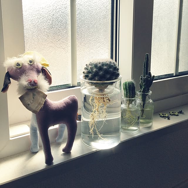 copainさんの実例写真