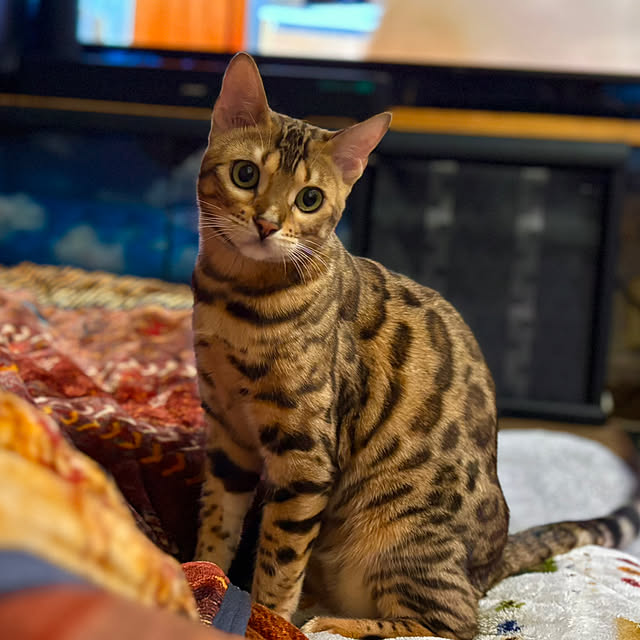 tututu0204さんの部屋