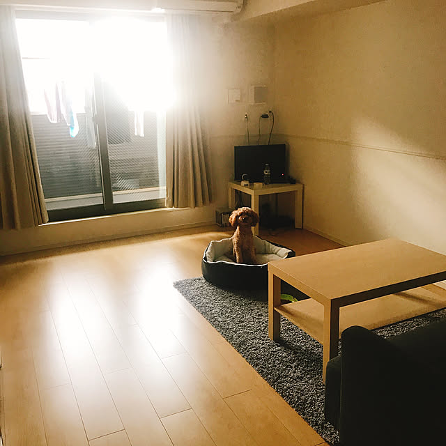 kigh230さんの実例写真