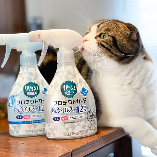 tansukeさんの実例写真