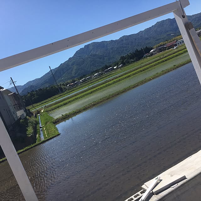 codaさんの実例写真
