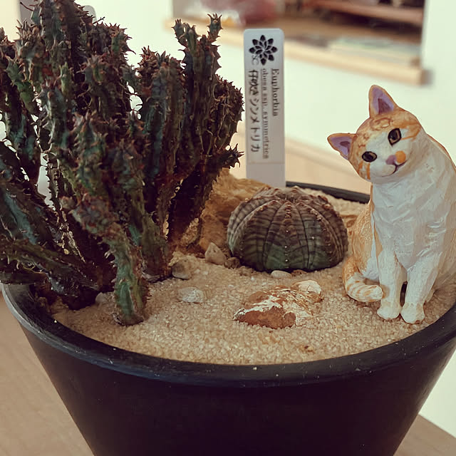 takaygoさんの実例写真