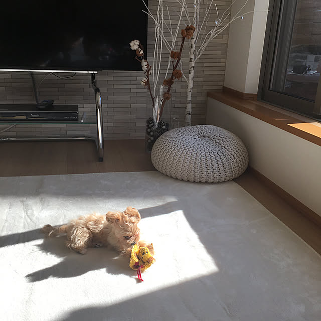 ucaさんの実例写真
