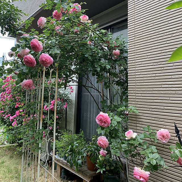 noinoi99さんの実例写真