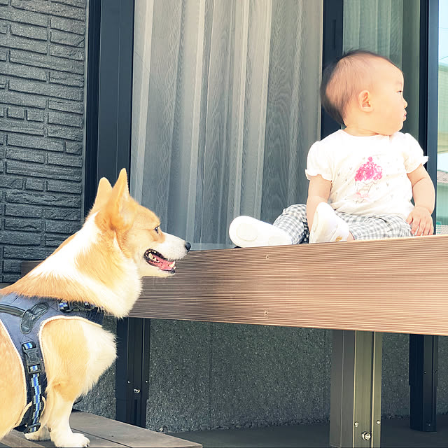 7chuna2さんの実例写真