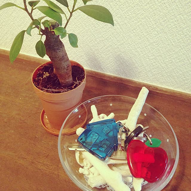 Yukariさんの実例写真