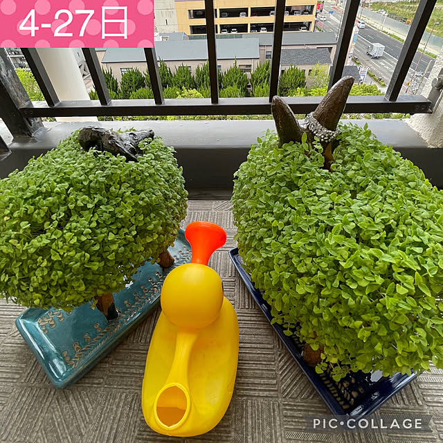 aureaさんの実例写真