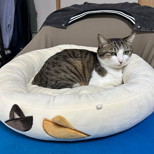 nacchi4さんの部屋