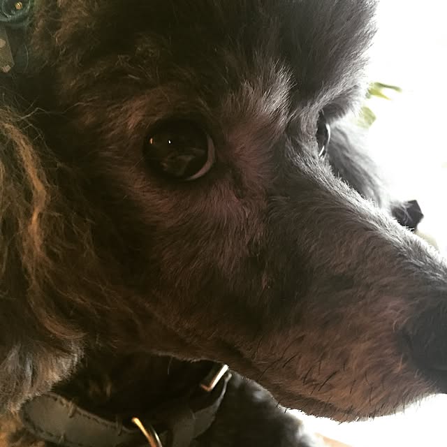 mituzuさんの実例写真