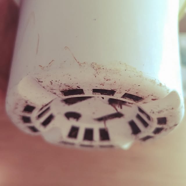 mi-saさんの部屋