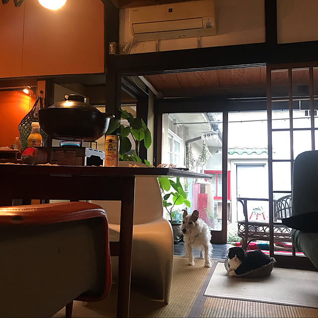 joshua.treeさんの実例写真