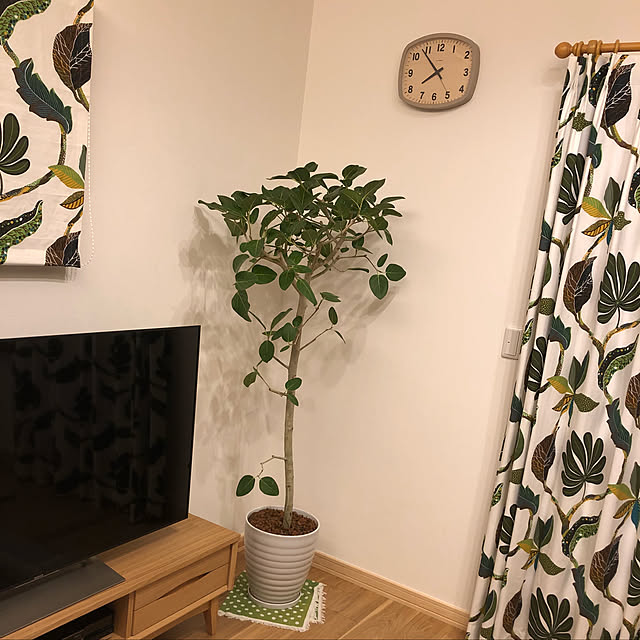 pearpicture2285さんの実例写真