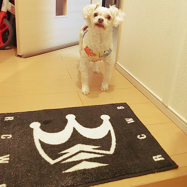 Kazusaさんの実例写真
