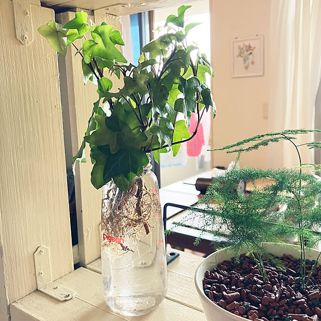 koshiregutyoさんの部屋