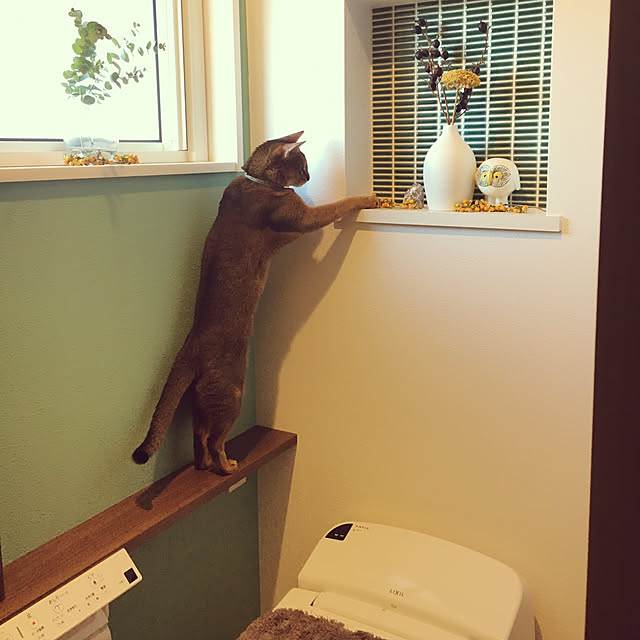 sakineko528さんの実例写真