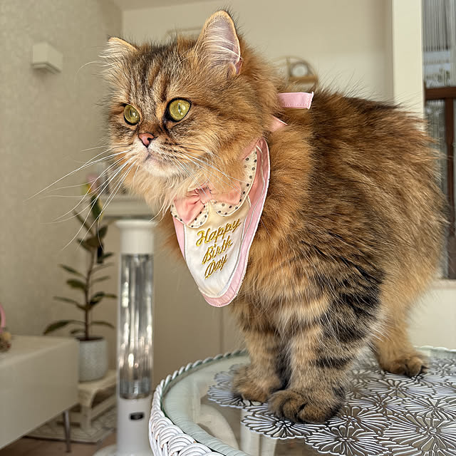 miyu39さんの部屋