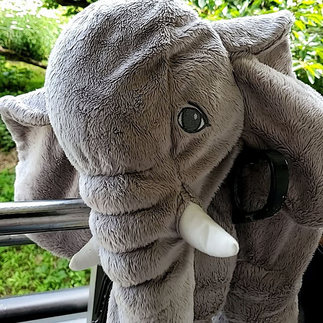 kokinさんの実例写真
