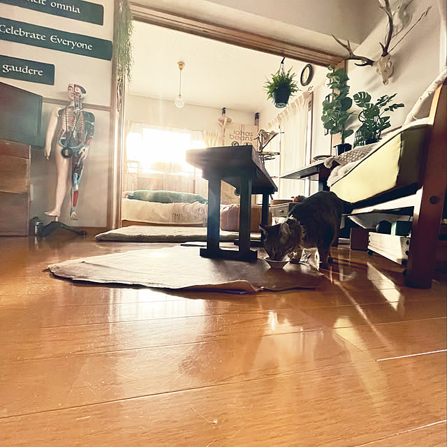 Mさんの実例写真