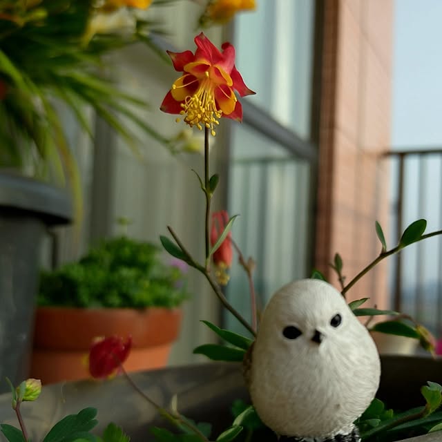 NOAHさんの部屋