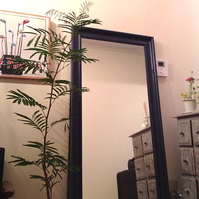 linさんの実例写真