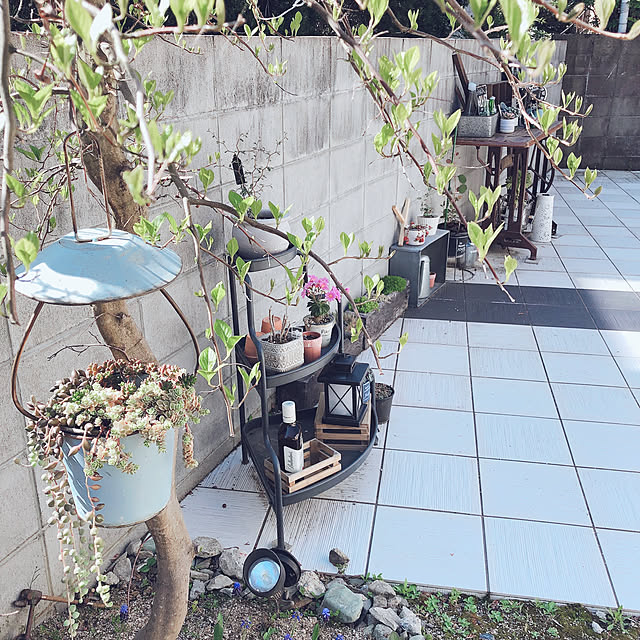 craneさんの実例写真