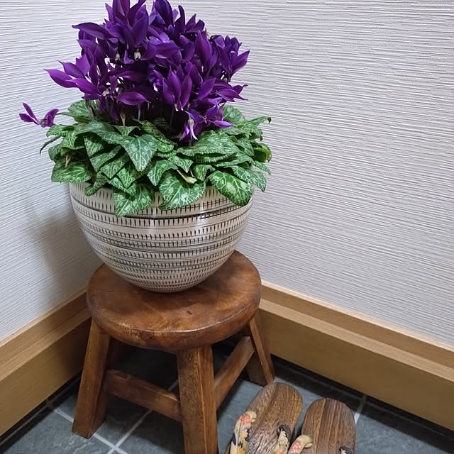 ruapyさんの実例写真