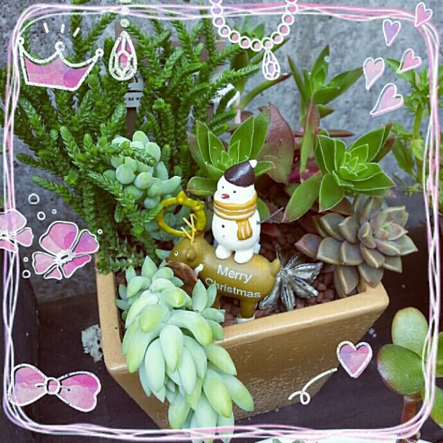 Yumiさんの実例写真