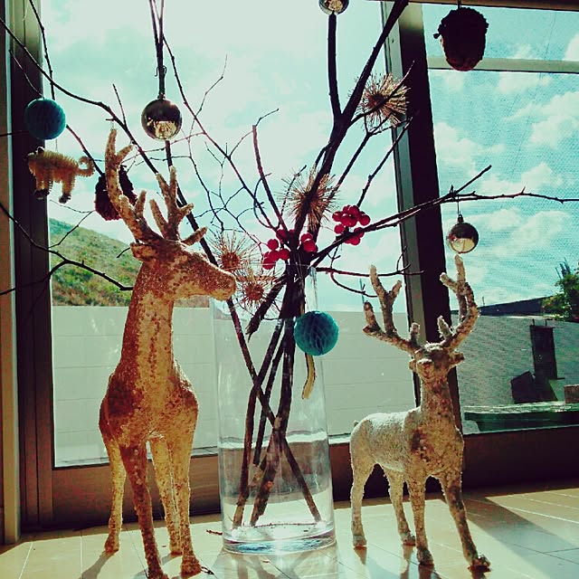 sizukumamaさんの実例写真