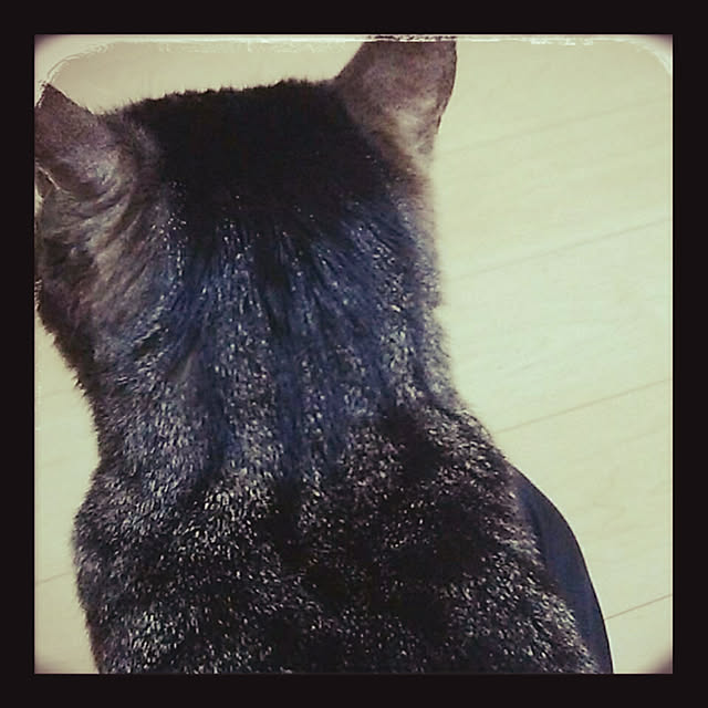 naomiさんの実例写真