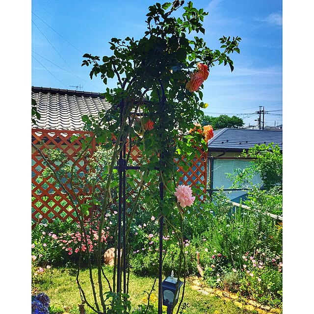 maitakachanさんの実例写真