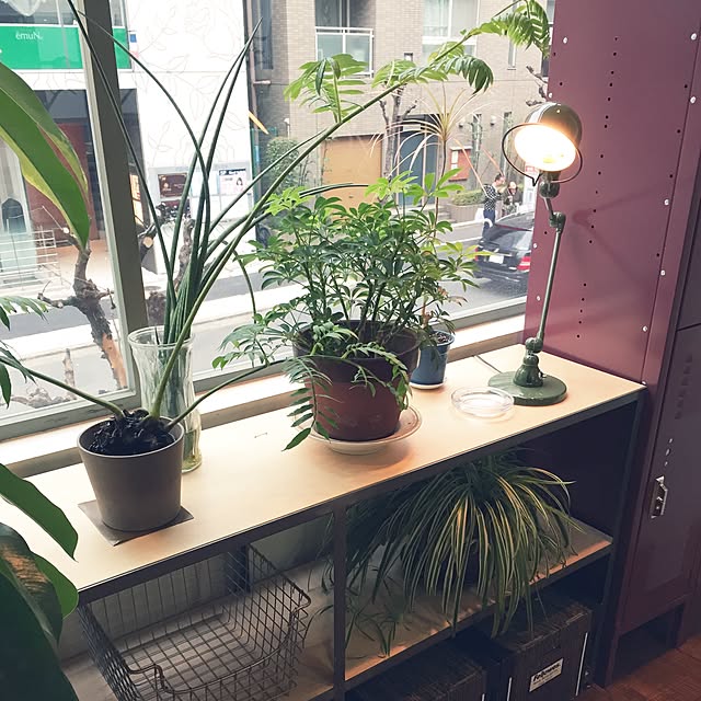 yakeponさんの実例写真