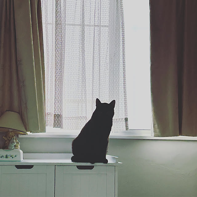 mimiさんの実例写真