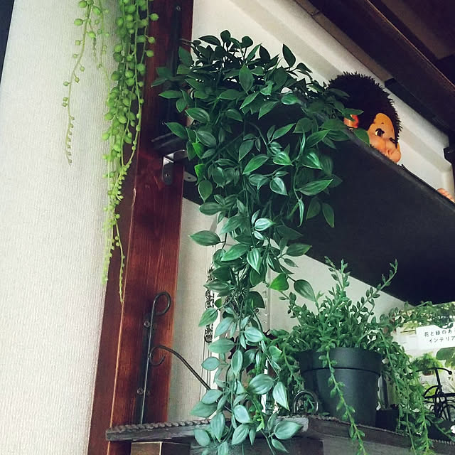 noaさんの実例写真
