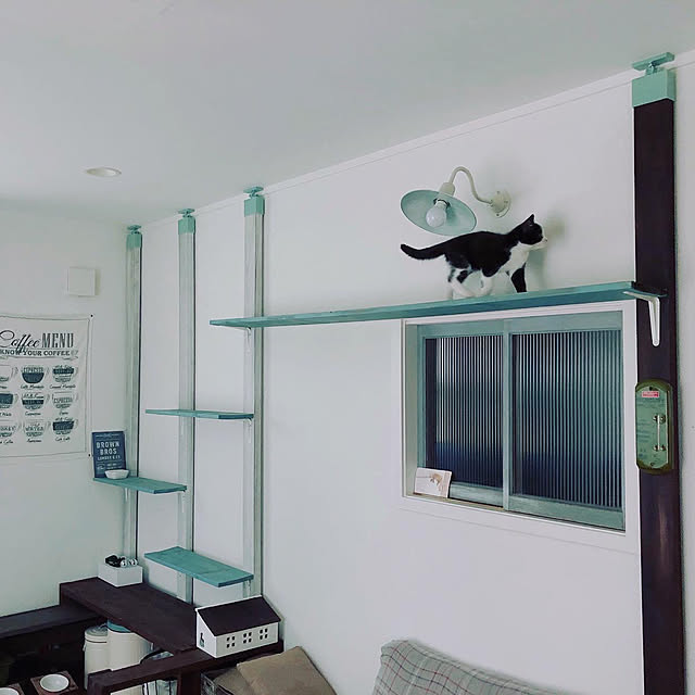 shinshinさんの実例写真
