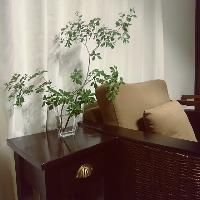 noeさんの実例写真