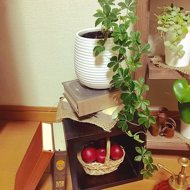 juboccoさんの実例写真