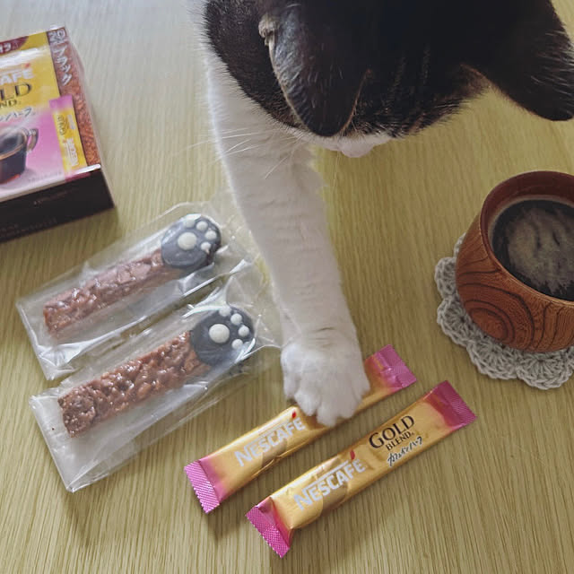 リビング/コーヒータイム/リラックスタイム/保護猫/マンション暮らし...などのインテリア実例 - 2025-05-31 10:52:28