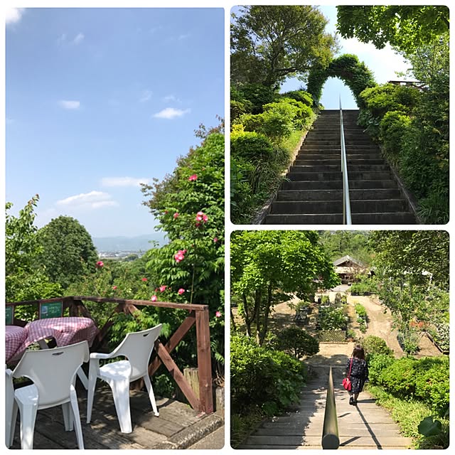 haruさんの実例写真