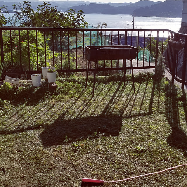 miiさんの実例写真