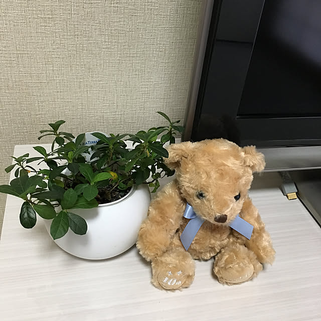 junjun.9216さんの実例写真