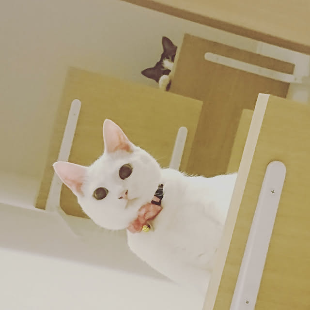 karenさんの実例写真