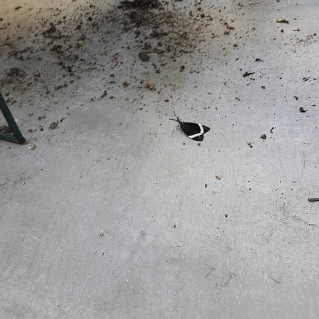 scrapheaven55さんの実例写真