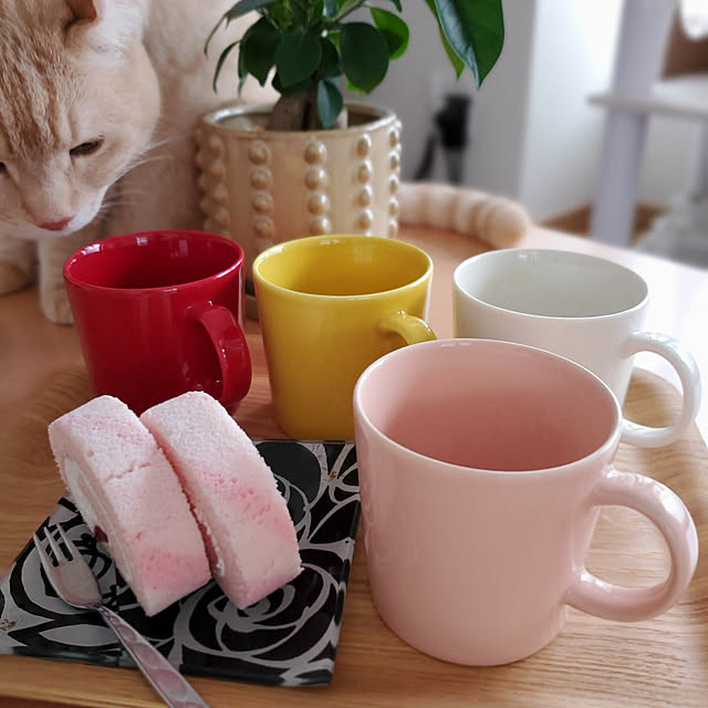 makoさんの実例写真