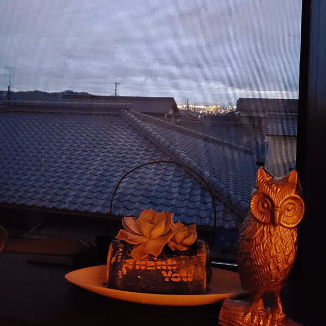 zenoさんの実例写真