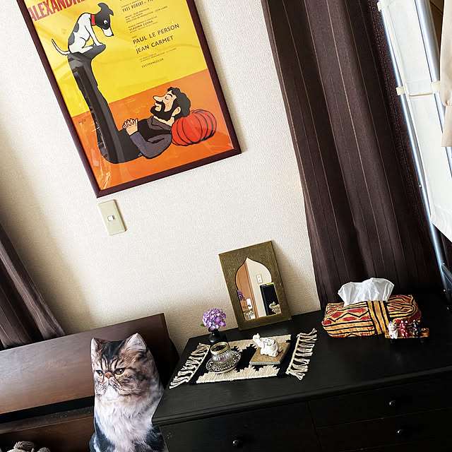 cecil..さんの実例写真