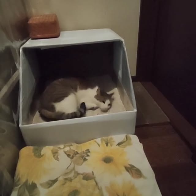 mori_6_12さんの実例写真